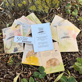 Wald Krafttiere – mit Affirmationen