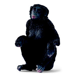 Schleich Bonobo Weibchen, 2022