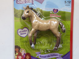 Schleich Sunset als Fohlen