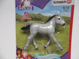 Schleich Welsh-Pony-Fohlen, 2019