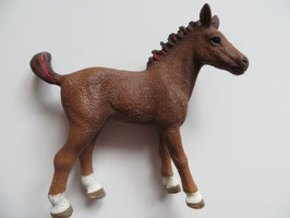 Schleich Cayenne als Fohlen, 2017