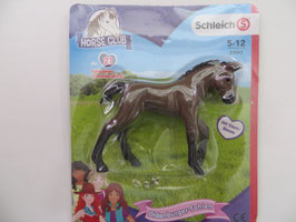 Schleich Oldenburger Fohlen