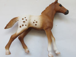 Schleich Appaloosa Fohlen