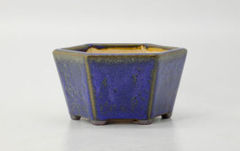pot hexagonal purple
