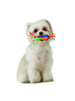 Mini Cool Chew