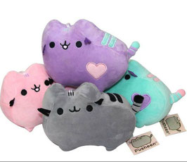 Pusheen