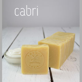 c a b r i