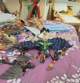 Playmobil Berk, alles auf dem Foto inkl Versandkosten