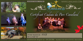 Certificat-cadeau Cavaland d'une valeur de 100$