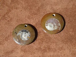 Ammonite en pierres percées (de face)