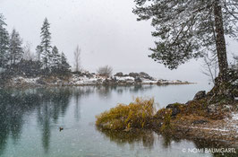 First Snow IV, Eibsee, German Alps 2016