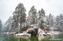 First Snow III, Eibsee, German Alps 2016