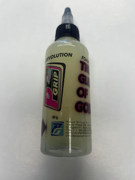 Traitement PGRIP V1