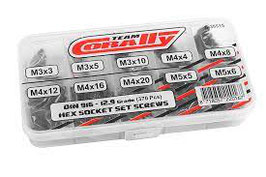 Boite de vis HC M3-M4-M5 DIN 916  12.9 10 tailles/370 pcs