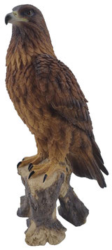 Adler