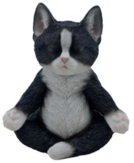 Yoga-Katze s/w