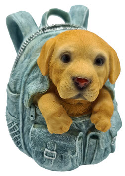 Sparkasse - Labrador beige