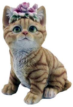 Blumen-Katze rot