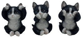Katzen die drei Weisheiten schwarz