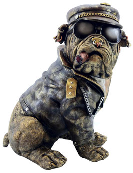 Bulldogge sitzend