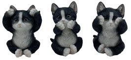 Katzen die drei Weisheiten schwarz
