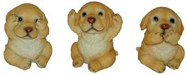 Labrador die drei Weisheiten