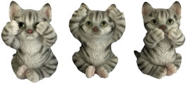 Katzen die drei Weisheiten grau