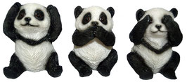 Panda die drei Weisheiten