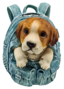 Sparkasse - Beagle