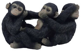 Schimpanse die drei Weisheiten