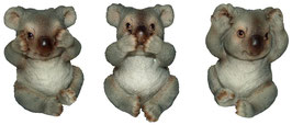 Koala die drei Weisheiten