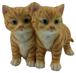 Zwei Katzen rot