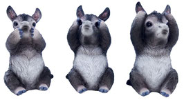 Esel die drei Weisheiten