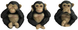 Schimpanse die drei Weisheiten