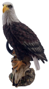 Adler