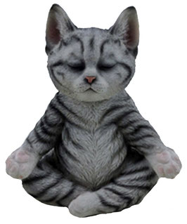 Yoga-Katze grau