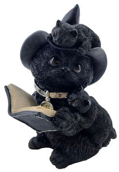 Katze schwarz mit Buch