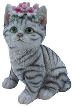 Blumen-Katze grau
