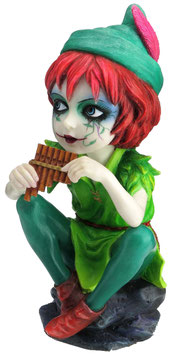 Cosplay - Peter Pan
