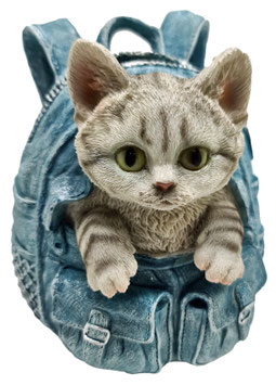 Sparkasse - Katze grau