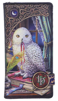 Lisa Parker - Guardian of Spells
