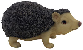 Igel stehend