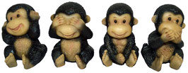 Schimpanse die vier Weisheiten