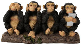 Affen die vier Weisheiten