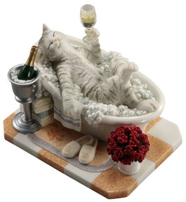 Katze in Badewanne