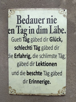 Lustiges Metallschild Spruch Schweiz – Humorvolles Blechschild Retro Wanddeko mit lustigem Text auf Schweizerdeutsch