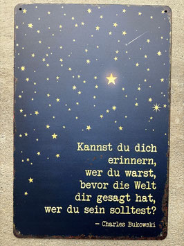 Motivations Blechschild Schweiz „Kannst du dich erinnern wer du warst“ kaufen Mindset Coaching Bukowski