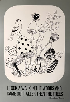Postkarte Pilz 3