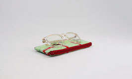Mint Green Glasses Case