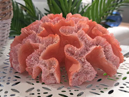 BRAND NEW Pink Decor Coral